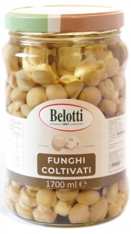 BELOTTI GR.1700 FUNGHI COLTIVATI